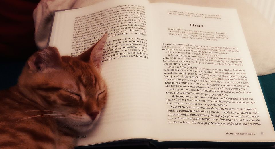 Mladenka kostonoga, galerija 7