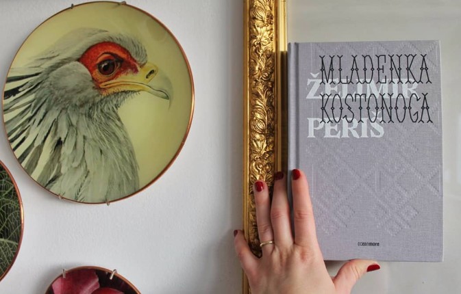 Instagram reakcija na Mladenku kostonogu, 4