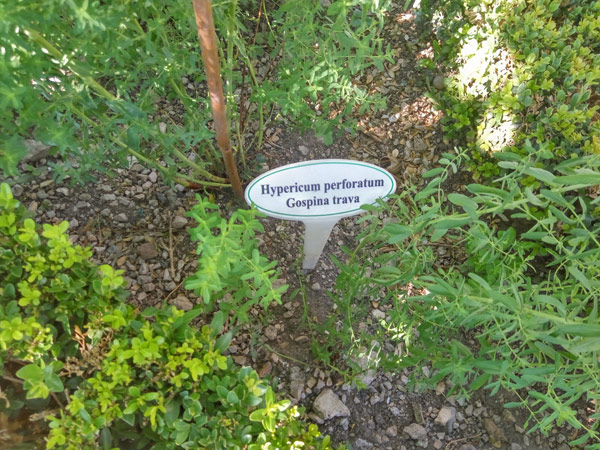 Istraživanje Gilinog vremena, 1