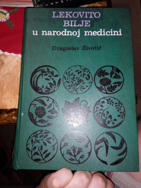 Istraživanje Gilinog vremena, 14