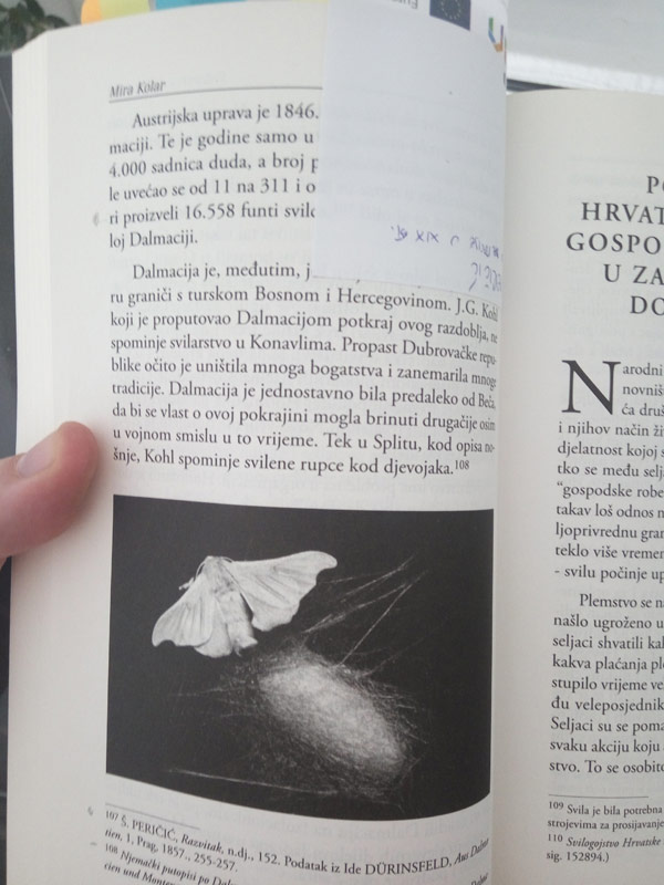 Istraživanje Gilinog vremena, 19