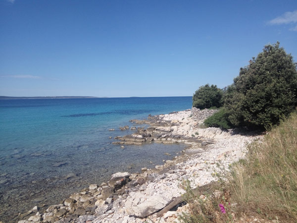 Itinerar pisanja Mladenke kostonoge, 7