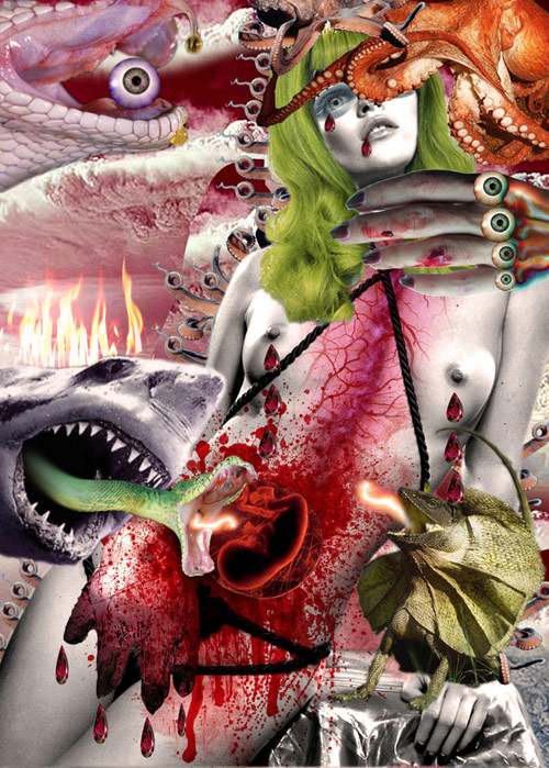 Izložba Mučenice, Petra Brnardic